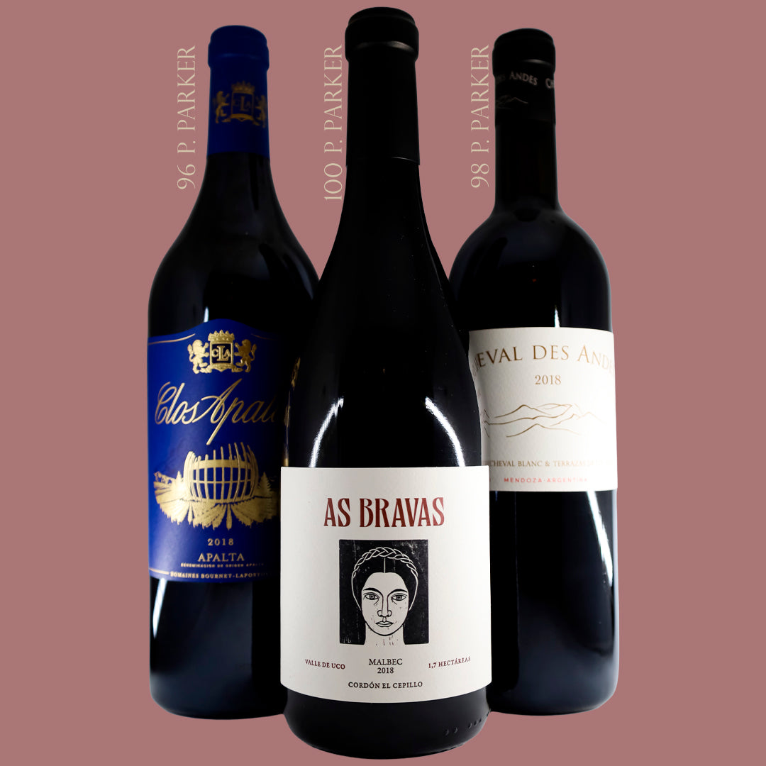 Caja de Regalo Vinos Nuevo Mundo 2018