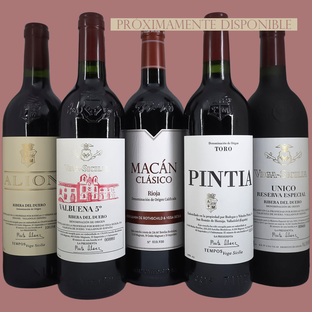 Caja de Vinos Colección Vega Sicilia