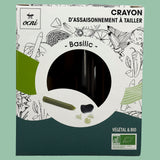 Crayon de Albahaca con Sacapuntas Ocni Factory 18 g
