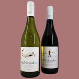 Vino Tinto Sin Alcohol Disfrutand0,0 Monastrell y Syrah 75 cl